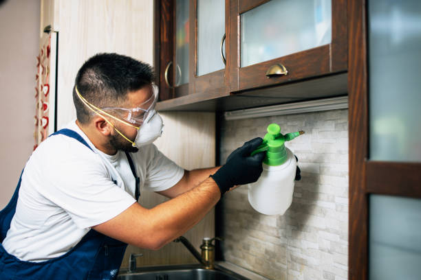 Pest Control Cost in Blue Point, NY