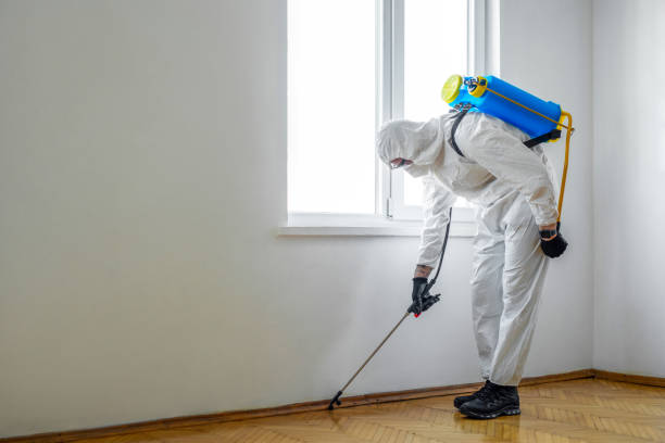 Best Best Pest Control Companies  in Blue Point, NY